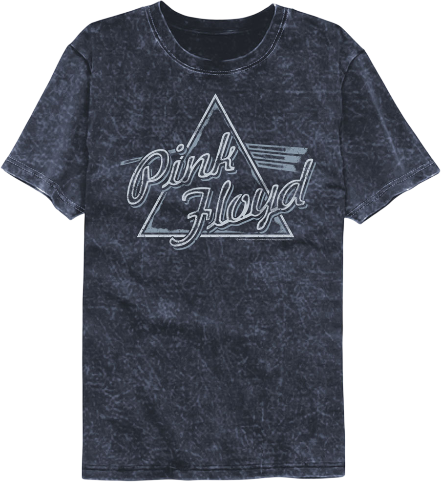 Prism Logo Pink Floyd Mineral Wash T-Shirt product image 1