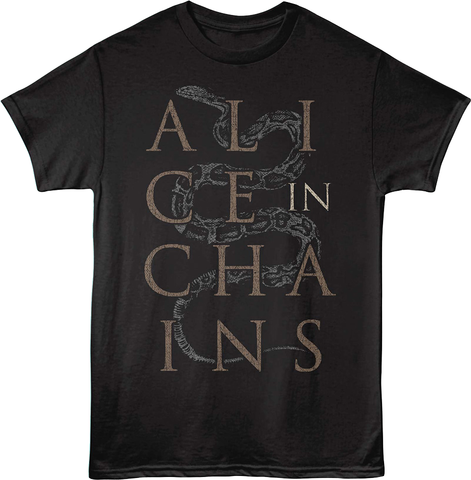 Snake Alice In Chains T-Shirt product image 1